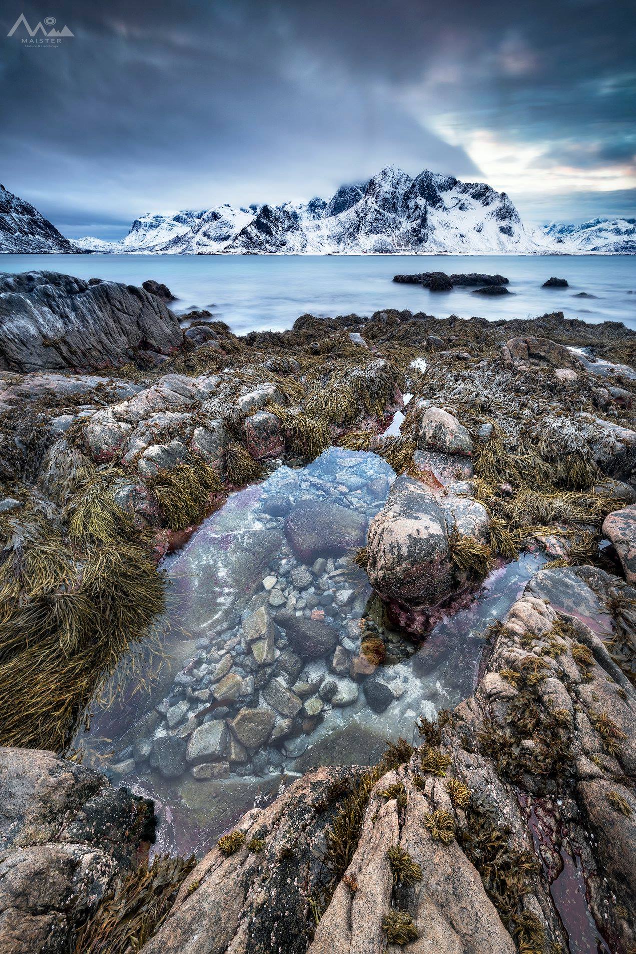 37875421_2326094640739740_4555031972409245696_n